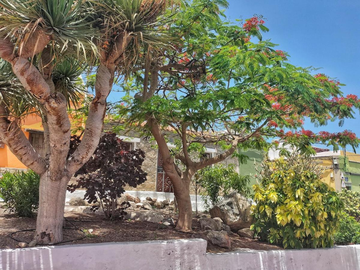 Casa En La Ladera - Real Vibe - & Mountain San Nicolas
